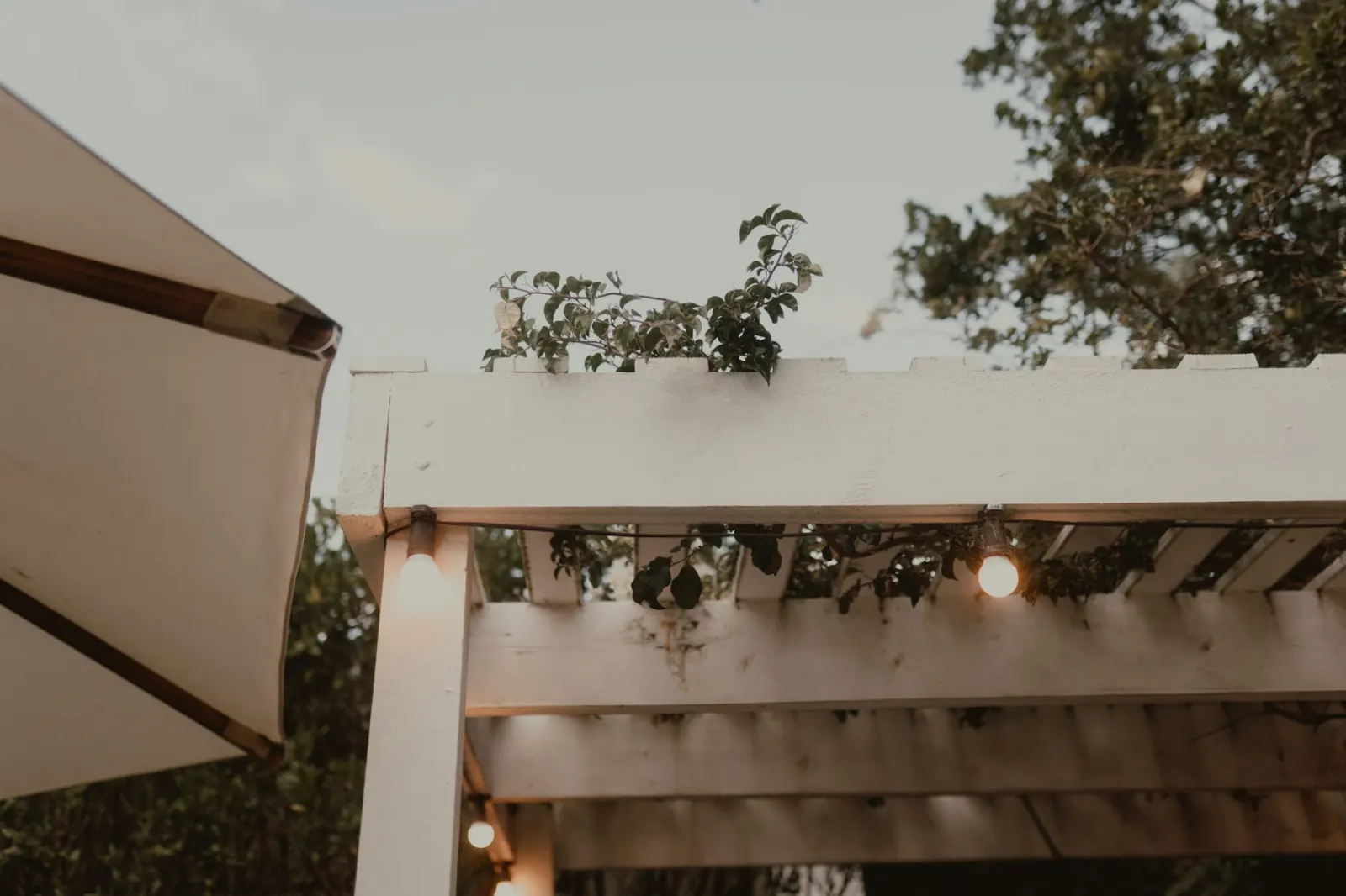 Outdoor pergola with string lights in the evening